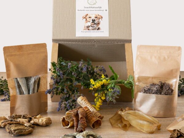 Probeerbox hondensnacks met verschillende natuurlijke snacks in maat S M L