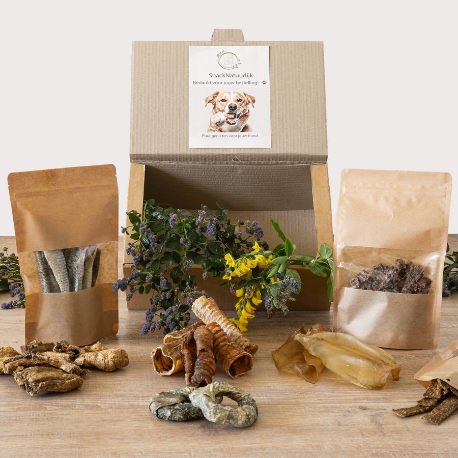 Probeerbox hondensnacks met verschillende natuurlijke snacks in maat S M L