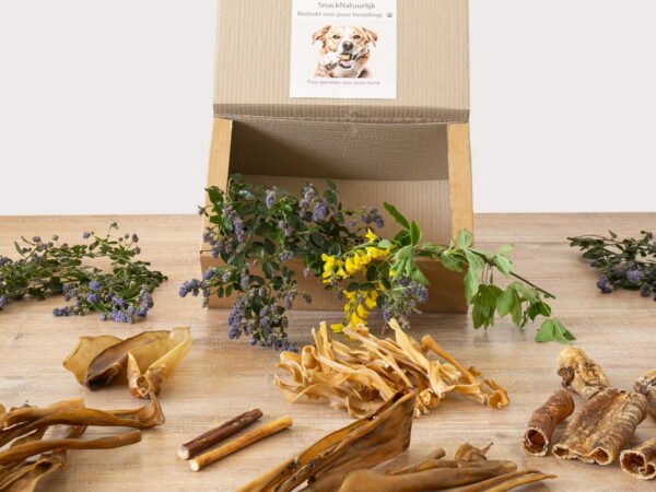 Kauwbox voor honden met harde natuurlijke kauwsnacks voor langdurig kauwplezier
