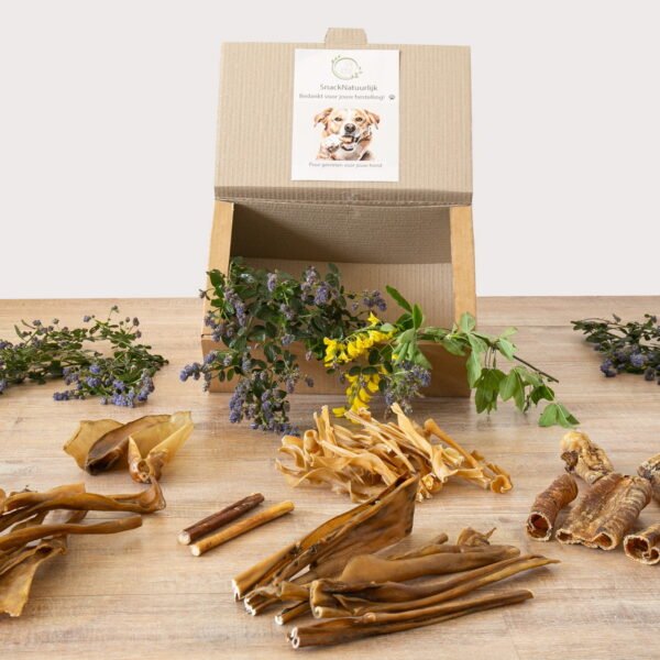 Kauwbox hond Kauwbox voor honden met harde natuurlijke kauwsnacks voor langdurig kauwplezier