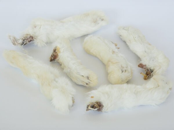 Gedroogde konijnenpoten met haar voor honden