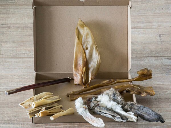 SnackNatuurlijk hondensnack brievenbusbox voor honden vanaf 30 kg