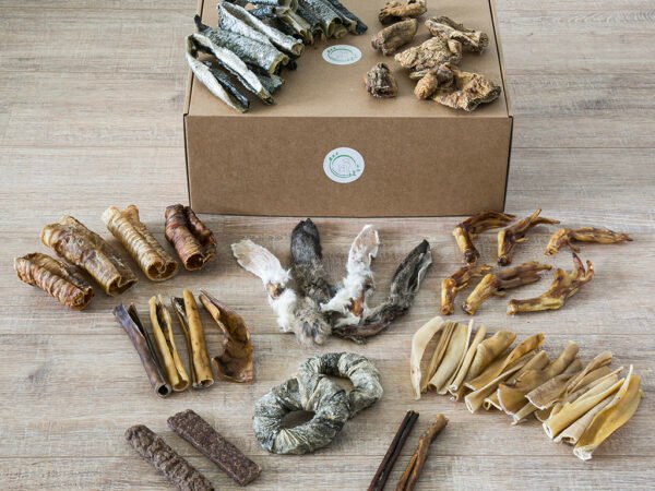 SnackNatuurlijk hondensnack box large voor honden van 10 tot 20 kg