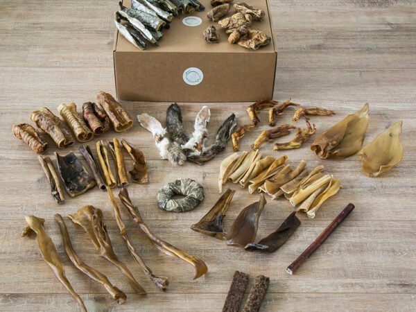 SnackNatuurlijk hondensnack box large voor honden vanaf 30 kg