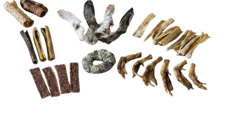 Natuurlijke snacks voor elke hond