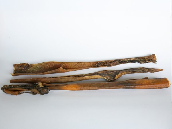 Natuurlijke wildzwijnhuid 50 cm voor honden Gedroogde wildzwijnhuid 50 cm voor honden