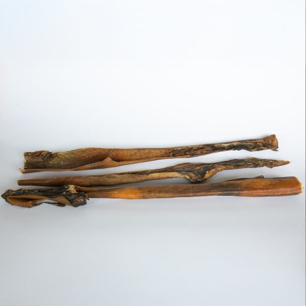 Natuurlijke wildzwijnhuid 50 cm voor honden Gedroogde wildzwijnhuid 50 cm voor honden