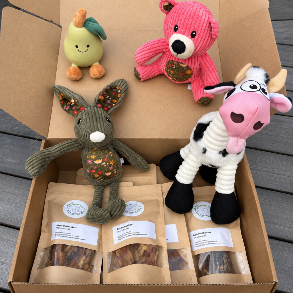 SnackNatuurlijk Dierendagbox met natuurlijke hondensnacks en pluche speeltje