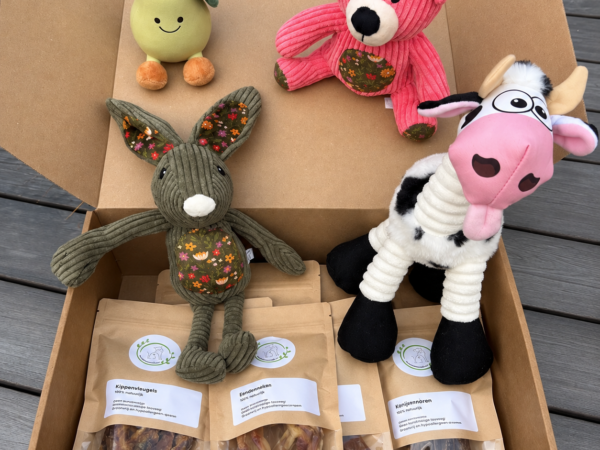 SnackNatuurlijk Dierendagbox met natuurlijke hondensnacks en pluche speeltje